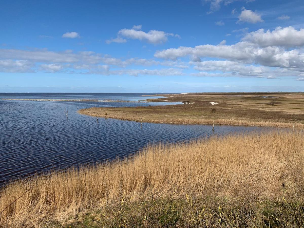 Friese Kust Villa فوركوم المظهر الخارجي الصورة